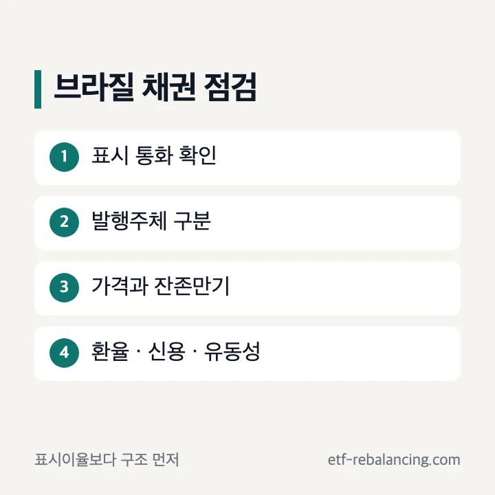 브라질 채권 통화 발행주체 환율 유동성 점검