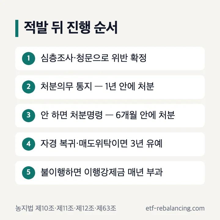 처분의무 통지부터 이행강제금까지의 다섯 단계