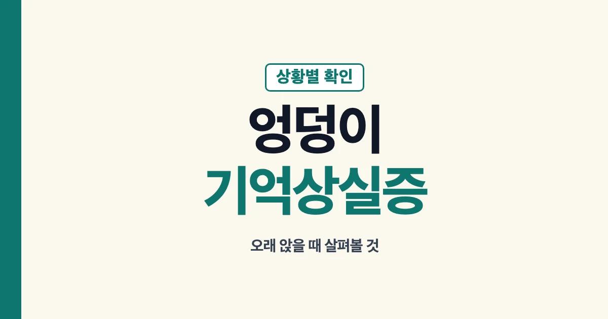 엉덩이 기억상실증과 상황별 확인 순서