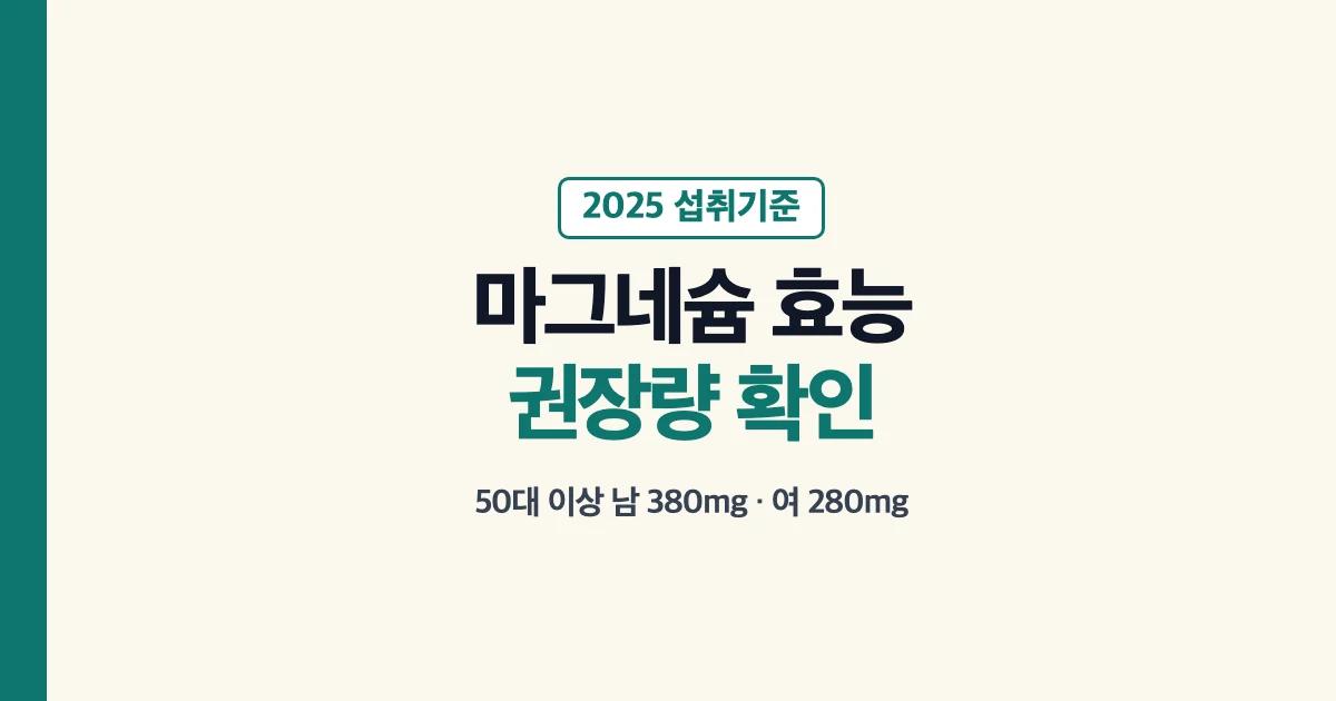 마그네슘 효능과 50대 이상 권장량 안내