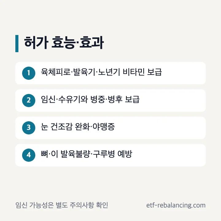 투엑스비추어블정 식약처 허가 효능·효과 범위