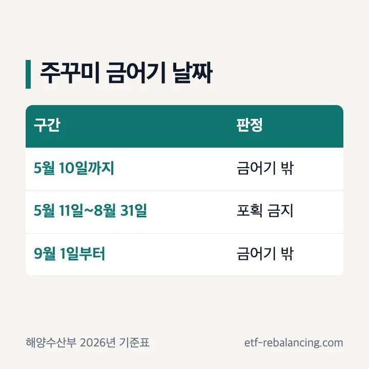 2026년 주꾸미 낚시 금어기와 종료 다음 날