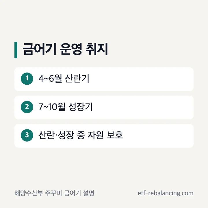 주꾸미 산란과 성장에 맞춘 금어기 안내