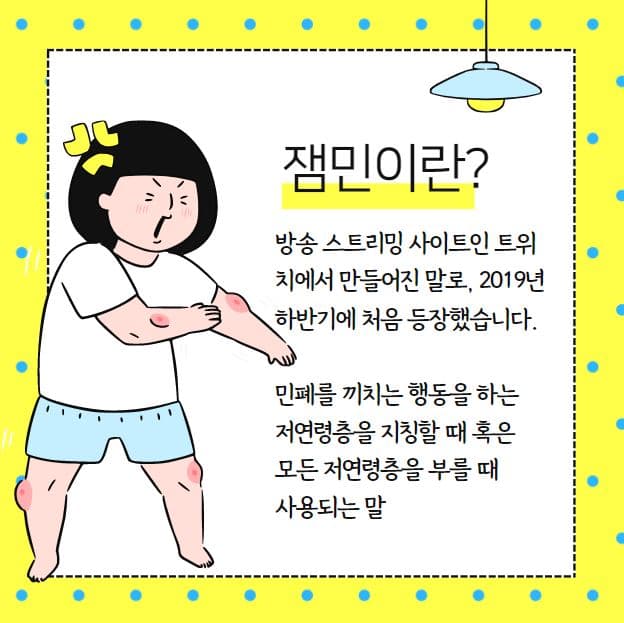 잼민이 뜻 1
