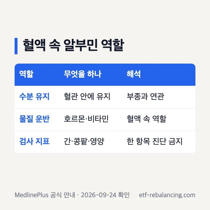 혈액 속 알부민의 수분 유지와 물질 운반 역할