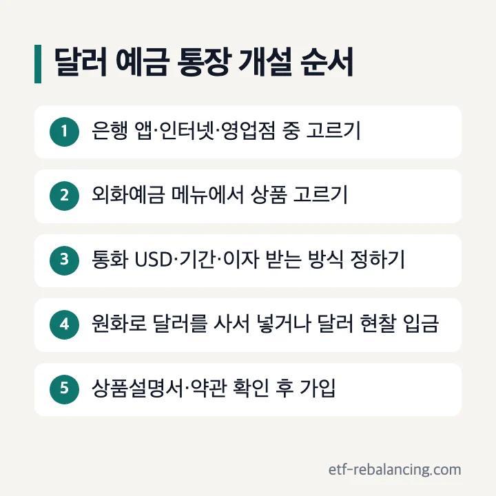 달러 예금 통장 개설 순서: 가입 경로 고르기, 외화예금 메뉴에서 상품 선택, 통화·기간·이자 방식 정하기, 입금, 약관 확인