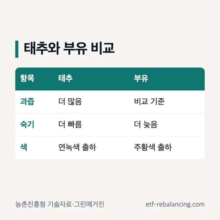 태추와 부유의 과즙 숙기 껍질색 차이