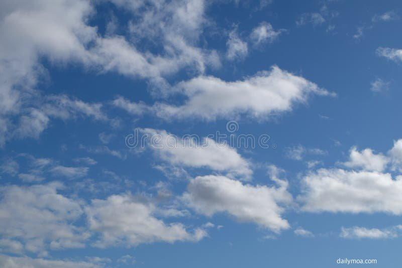 내 지역 예보 확인 방법