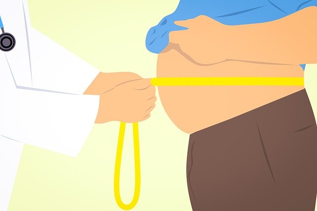 비만도 계산기 BMI 핵심