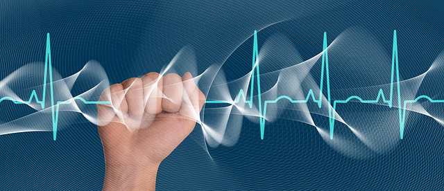 Normal adult heart rate 4
