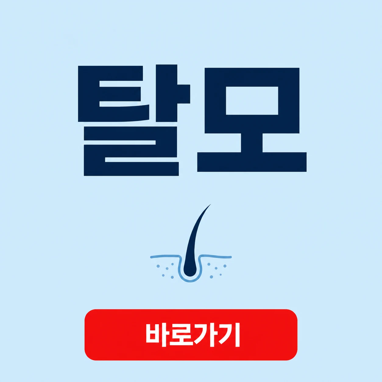 탈모 대표 이미지