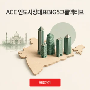 ACE 인도시장대표BIG5그룹액티브 ETF 상품 정보와 기본 항목 6 ACE 인도시장대표BIG5그룹액티브 대표 이미지