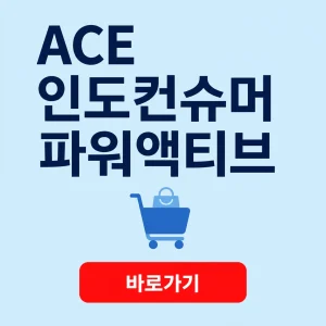 ACE 인도컨슈머파워액티브 ETF 487910 상품 정보와 분배금 안내 4 ACE 인도컨슈머파워액티브 대표 이미지