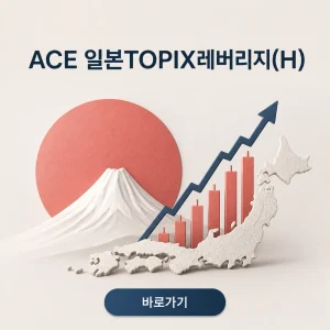 ACE 일본TOPIX레버리지(H) 대표 이미지
