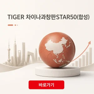 TIGER 차이나과창판STAR50(합성) 거래상대방 순자본비율 공시 5 TIGER 차이나과창판STAR50(합성) 대표 이미지