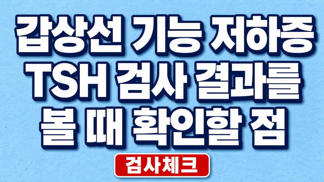 갑상선 기능 저하증 TSH 검사 결과를 볼 때 확인할 점
