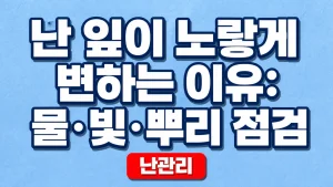 난 잎이 노랗게 변하는 이유: 물·빛·뿌리 점검 5 난 잎이 노랗게 변하는 이유: 물·빛·뿌리 점검