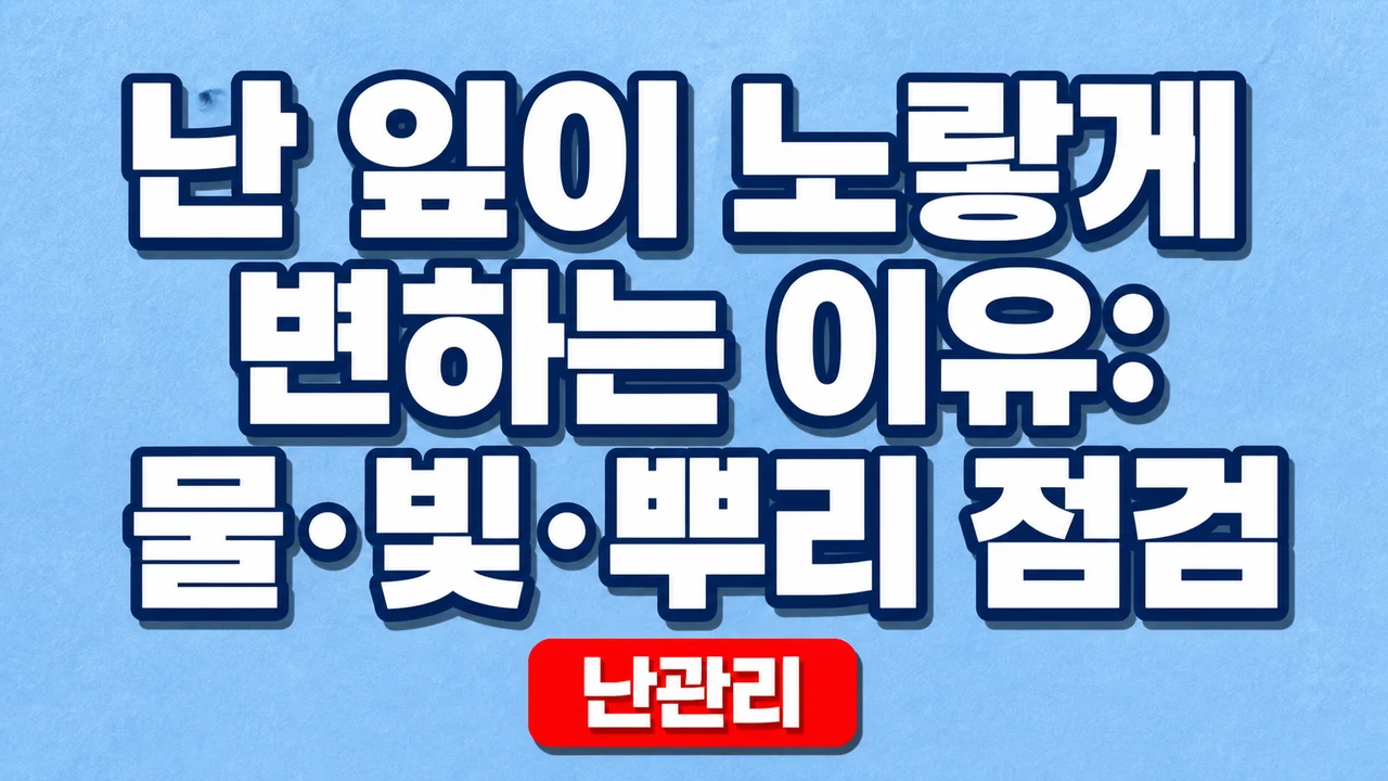 난 잎이 노랗게 변하는 이유: 물·빛·뿌리 점검 1 난 잎이 노랗게 변하는 이유: 물·빛·뿌리 점검
