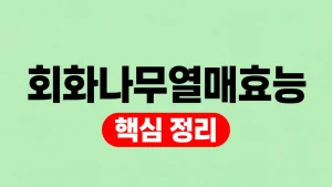 회화나무열매효능 성분과 섭취 전 주의사항 5 회화나무열매효능