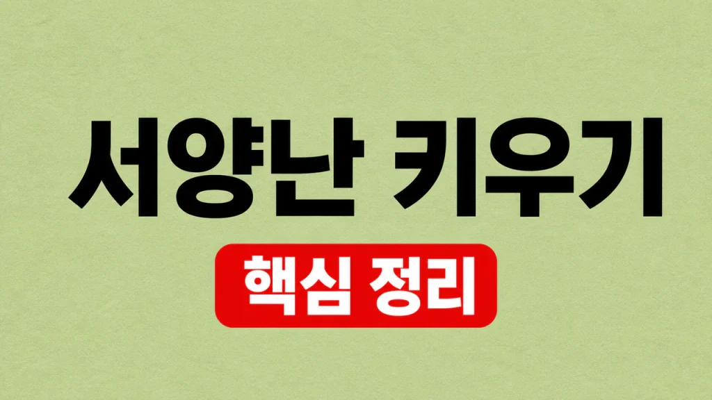 서양난 키우기