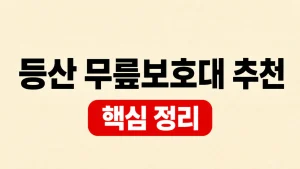 등산 무릎보호대 추천 압박·사이즈 선택 기준 1 등산 무릎보호대 추천