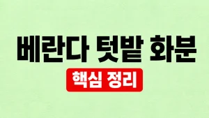 베란다 텃밭 꾸미기