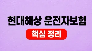 현대해상 운전자보험