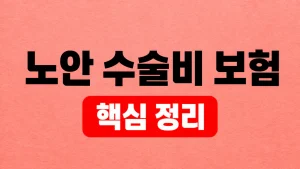 노안 수술비 보험