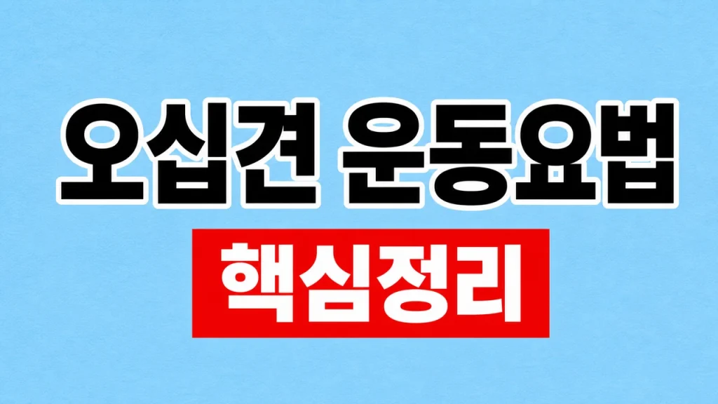오십견 운동요법과 단계별 스트레칭 1 오십견 운동요법