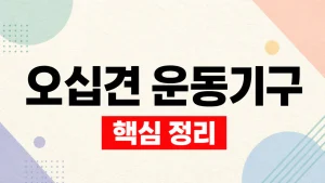 오십견 운동기구 선택과 안전한 사용 기준 7 오십견 운동기구