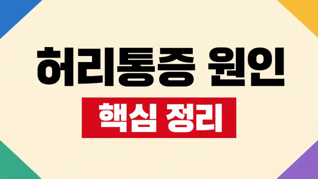 허리통증 원인과 즉시 진료가 필요한 위험 신호 1 허리통증 원인