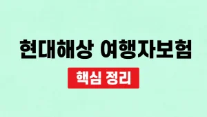 현대해상 여행자보험