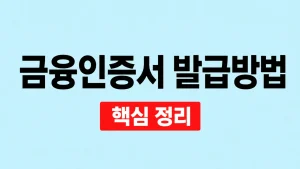 금융인증서 발급방법