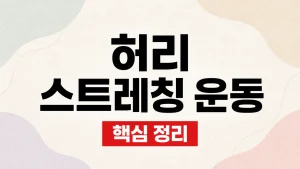 허리 스트레칭 운동 5가지와 통증별 주의사항 5 허리 스트레칭 운동