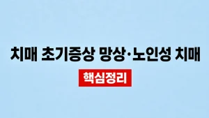 치매 초기증상 망상·노인성 치매 검사 기준 9 치매 초기증상 망상·노인성 치매