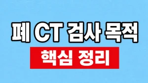 폐 CT 검사 목적