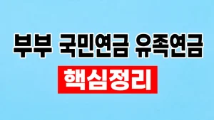 부부 국민연금과 유족연금 중복 선택 기준 9 부부 국민연금 유족연금
