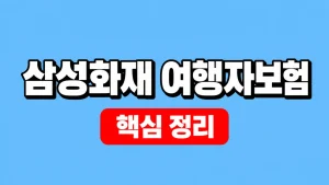 삼성화재 여행자보험 가입·보장과 청구 확인 9 삼성화재 여행자보험