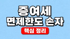 증여세 면제한도 손자