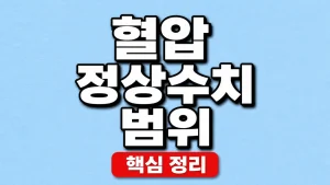 혈압 정상수치 범위