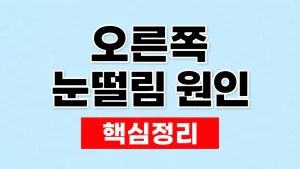오른쪽 눈떨림 원인