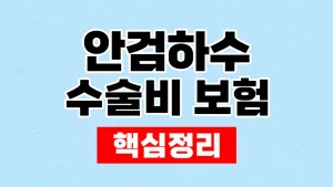 안검하수 수술비 보험