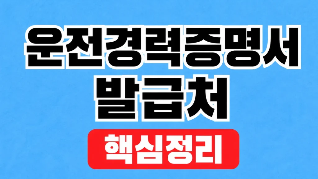 운전경력증명서 발급처