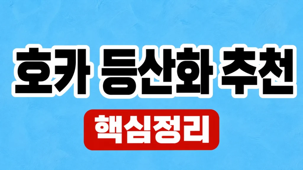 호카 등산화 추천: 발볼·쿠션·산행별 선택 1 호카 등산화 추천
