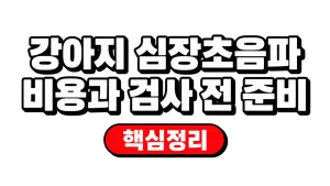 강아지 심장초음파 비용과 검사 전 준비