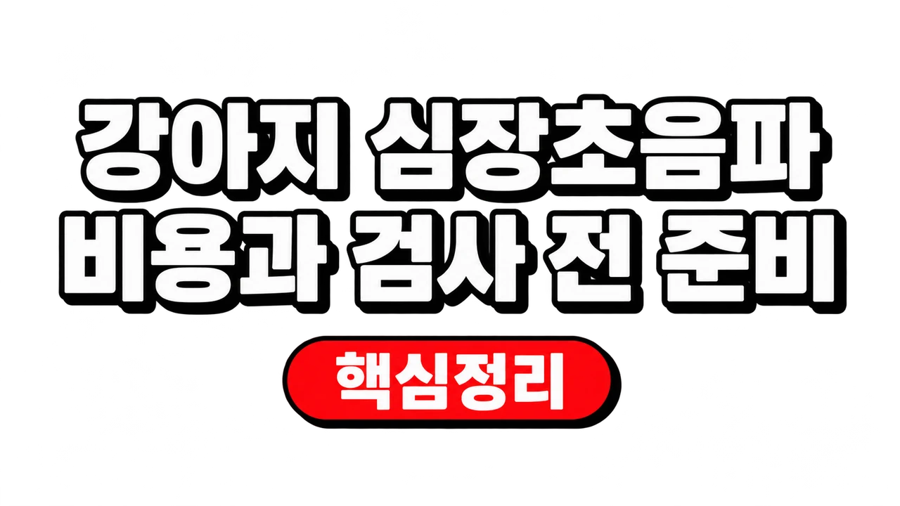 강아지 심장초음파 비용과 검사 전 준비 1 강아지 심장초음파 비용과 검사 전 준비