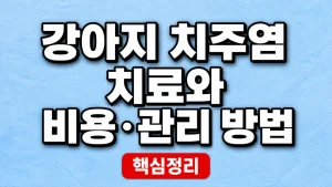 강아지 치주염 치료와 비용·관리 방법