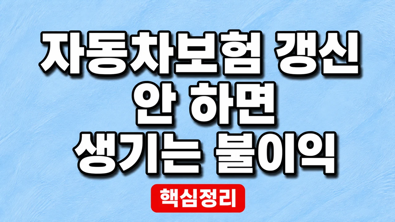 자동차보험 갱신 안 하면 생기는 불이익 1 자동차보험 갱신 안 하면 생기는 불이익