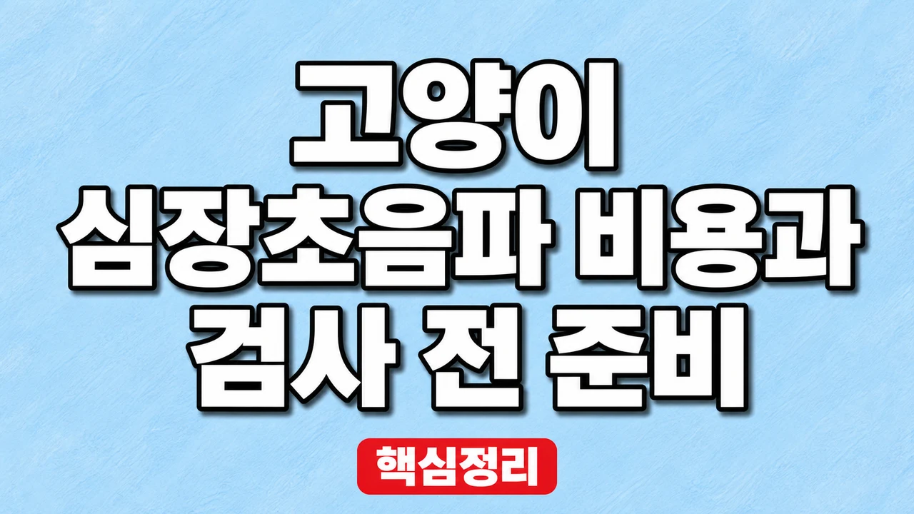 고양이 심장초음파 비용과 검사 전 준비