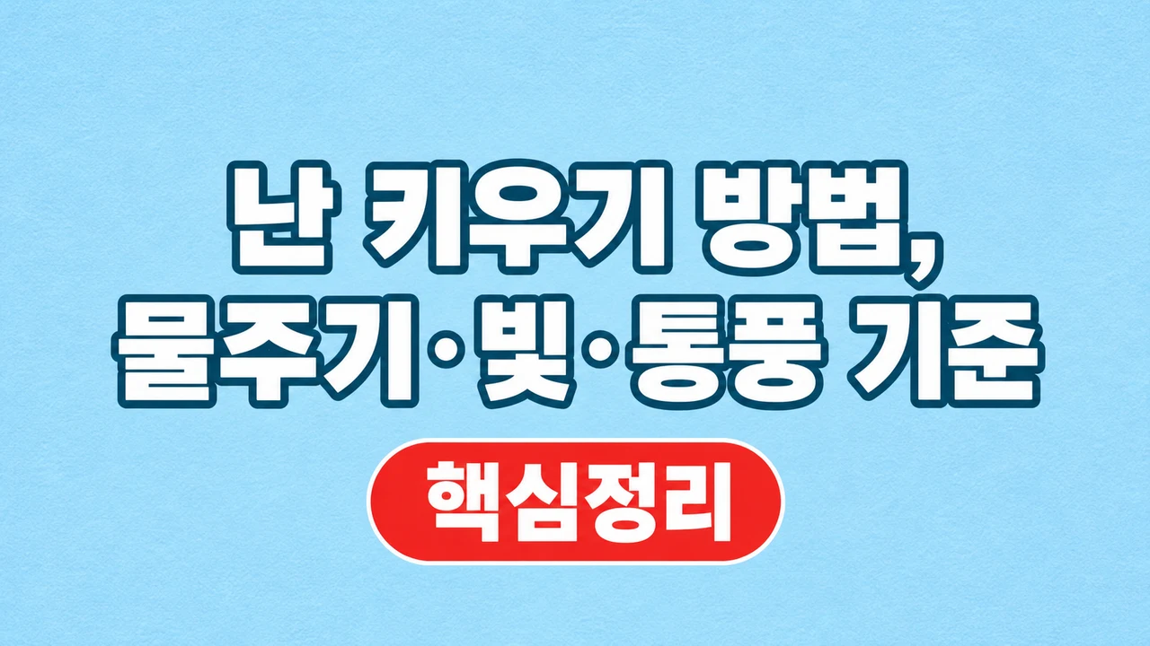 난 키우기 방법, 물주기·빛·통풍 기준